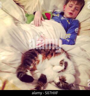 Sleeping boy e cat. Foto Stock