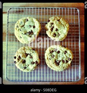 In casa i biscotti al cioccolato su una griglia di raffreddamento Foto Stock