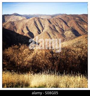 Colline sterili in California la Sierra Nevada causata dal 2013 Rim Fire. Stanislaus National Forest, Tuolumne County, California, Stati Uniti d'America Foto Stock