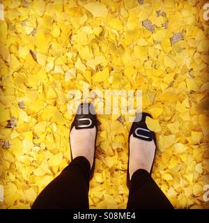 Una donna in piedi in una pila se foglie di giallo Foto Stock