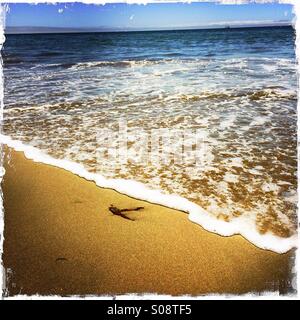 La sabbia e il surf in stato Seabright Beach. Santa Cruz, in California, Stati Uniti d'America Foto Stock