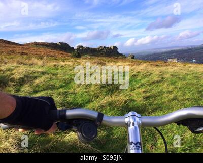 Mountain bike nei pressi di mucca e vitello Ilkley Moor West Yorkshire Foto Stock
