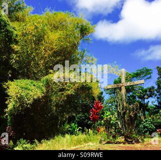 Croce al Sacro Cuore della Chiesa cattolica in Pahoa Hawaii Foto Stock