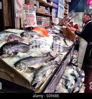 Rosso salmone King su ghiaccio Foto Stock