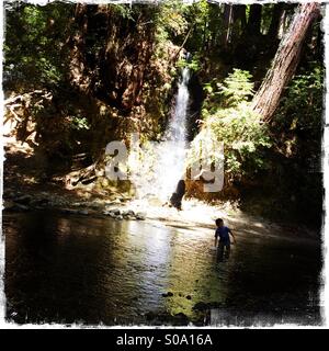 Un bambino di sei anni ragazzo gioca a cascata sul torrente di fagiolo. Santa Cruz County, California, Stati Uniti d'America Foto Stock