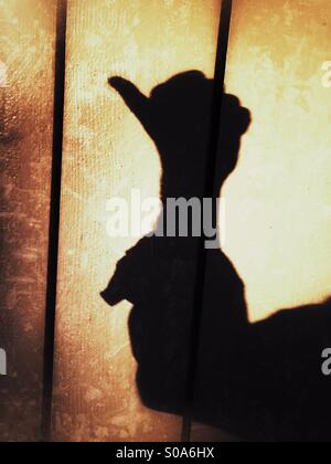 Un uomo getta un' ombra sul muro, contando sulla sua mano. Il numero uno. Foto Stock