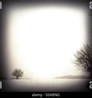 Un Lone Tree in un campo nevoso Foto Stock