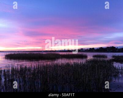 Rosa tramonto sulla Palude Foto Stock