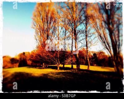 Parco Churchfields in Harrow-su-il-hill, a nord ovest di Londra, Inghilterra, Regno Unito, Europa Foto Stock