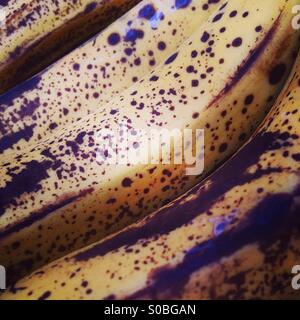 Banane mature Foto Stock