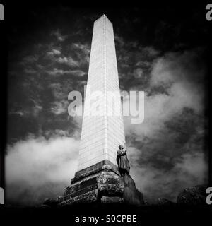 Memorial obelisco sulla cima di una collina dell'albero. Auckland, Nuova Zelanda. Foto Stock