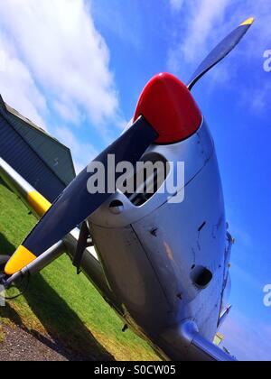 De Havilland Scoiattolino al Real Club Aereo aerodromo Breighton Yorkshire Foto Stock