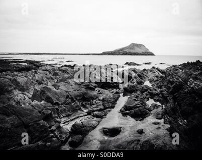 Rocce frastagliate causeway che conducono alla vite senza fine la testa, Gower Foto Stock