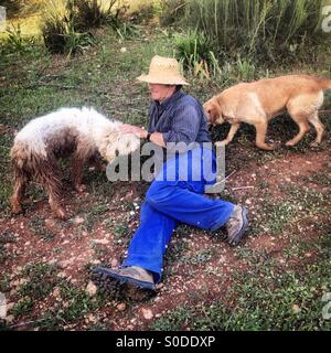 Un capraio resto con le sue pecore-cani come capre pascolano in Prado del Rey, Sierra de Cadice, Andalusia, Spagna Foto Stock