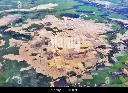 Una veduta aerea di campi di riso nell isola di Sulawesi, Indonesia Foto Stock
