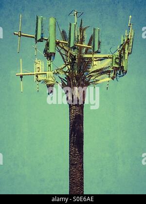 Una torre cellulare viene mascherato come un albero di palma nel sud della California USA Foto Stock