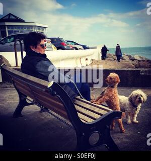 Dog walker prendendo un riposo su un banco di lavoro con i suoi 2 cani che guarda. Foto Stock