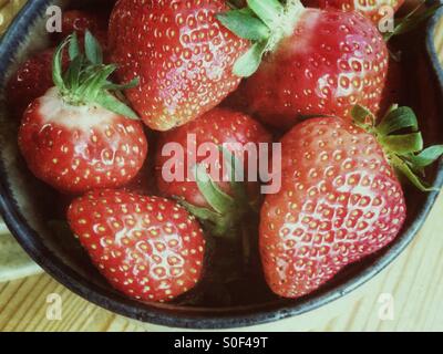 Fragole Foto Stock