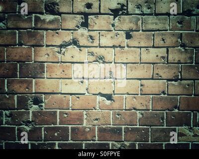 Fori di proiettile dalla seconda guerra mondiale in un muro di mattoni a Berlino Foto Stock