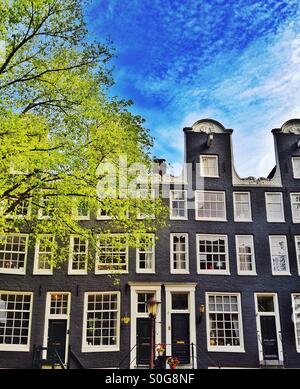 Tipico alto e stretto lato canale case di Amsterdam Paesi Bassi UE Foto Stock