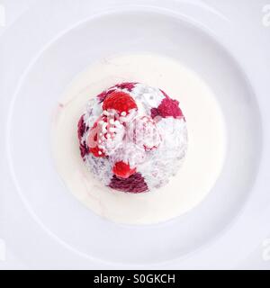 Budino estivo con crema. Foto Stock