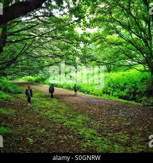 Tre persone a piedi nei boschi a Malvern Hills Foto Stock