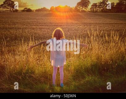 Ragazza giovane accogliente sole di setting al di sopra di un maturo campo di grano Foto Stock