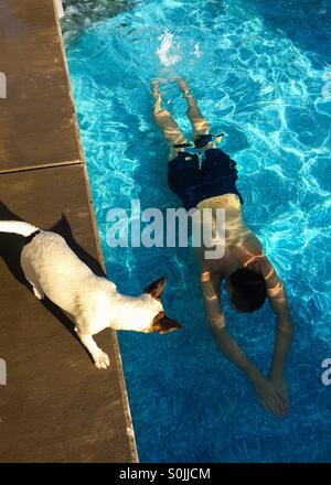 Giovane uomo nuotare sotto l'acqua in piscina mentre il suo cane corre lungo sul piano piscina. Fotografato dal di sopra. Foto Stock