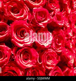 Mazzo di Rose Foto Stock