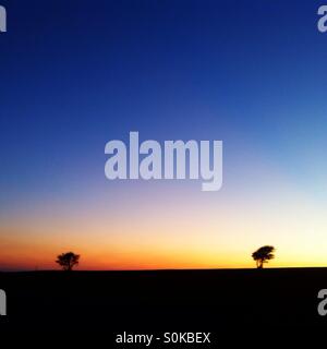 Due piccoli alberi in un Cielo di tramonto Foto Stock