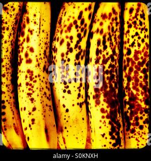 Over-banane mature Foto Stock