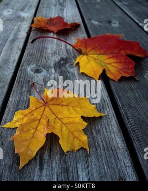 Autunno finalmente arrivato. La mia stagione preferita. Foto Stock