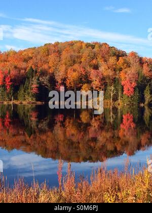 Riflessi di alberi in autunno, Belvedere Lago, Stowe Vermont - USA Foto Stock