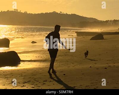 Uomo con una palla da tennis gettando stick giocando fetch con la sua miniatura Pinscher cane sulla spiaggia al tramonto Foto Stock