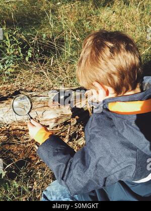 Cinque anni di vecchio ragazzo bruciando legno con una lente di ingrandimento Foto Stock