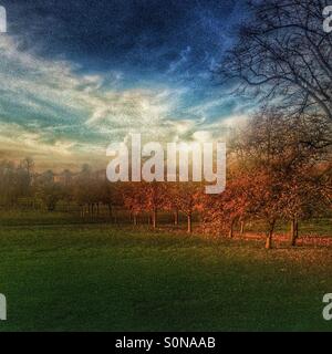 Autunno in Peckham Rye park. Foto Stock