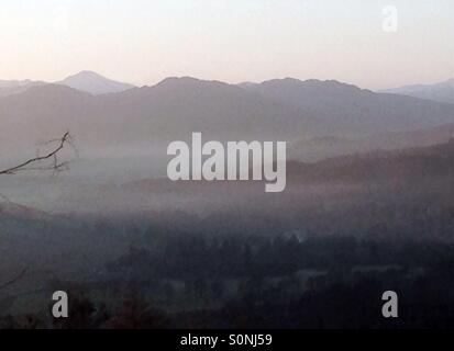 In inverno la nebbia, Perthshire Scozia Scotland Foto Stock