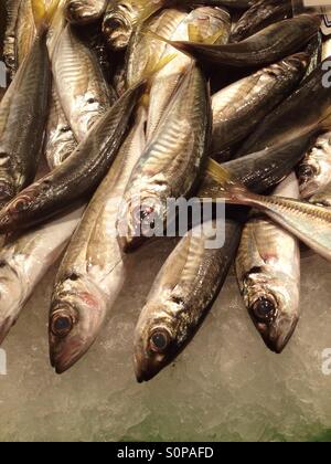 Pesce fresco per la vendita nel mercato Foto Stock