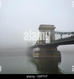 Il Ponte delle catene a Budapest Foto Stock