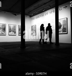 Un paio di visualizzazione di David Hockney è l'arrivo della primavera mostra di Salts Mill Saltaire Bradford Foto Stock