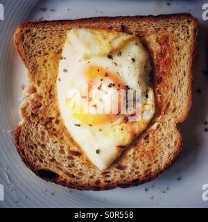 Uovo fritto su pane tostato Foto Stock