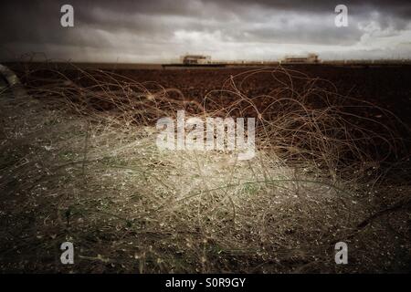 Reti da pesca scartate o perse, catturate su una spiaggia inquinante di Worthing Foto Stock