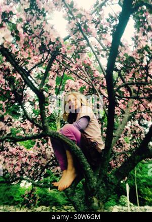 La ragazza si arrampica ornamentali in fiore ciliegio in primavera Foto Stock