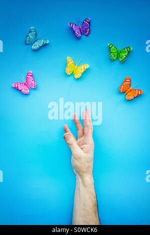 Un uomo la mano e il braccio per raggiungere un gruppo di farfalle variopinte su un luminoso, sfondo blu. Foto Stock