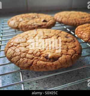 Cioccolato appena sfornati su di un raffreddamento per rack Foto Stock