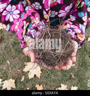 Bambino tiene un vuoto Bird Nest Foto Stock