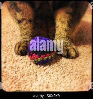 Big tabby cat zampe custodendo artigianale di erba gatta sfera Foto Stock