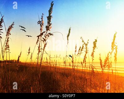 Sunrise in Myrtle Beach South Carolina USA Foto Stock