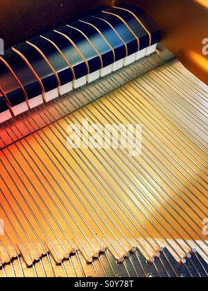 Pianoforte stringhe e martelli Foto Stock