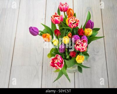 Mazzetto di multi tulipani colorati visto da sopra Foto Stock